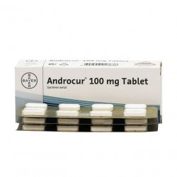 Андрокур таблетки 100 мг №30 в  и области фото